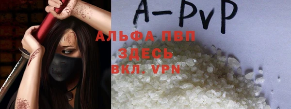 крисы Магадан