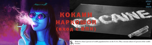 гидра Михайловск