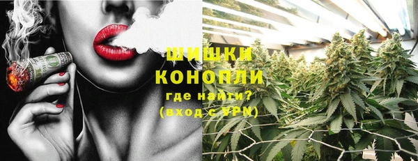 дживик Алагир