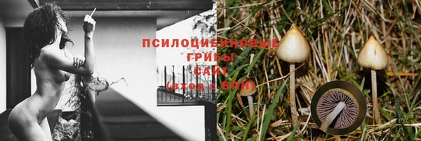 гидра Михайловск