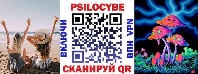 Псилоцибиновые грибы Psilocybe блэк спрут ТОР Минусинск