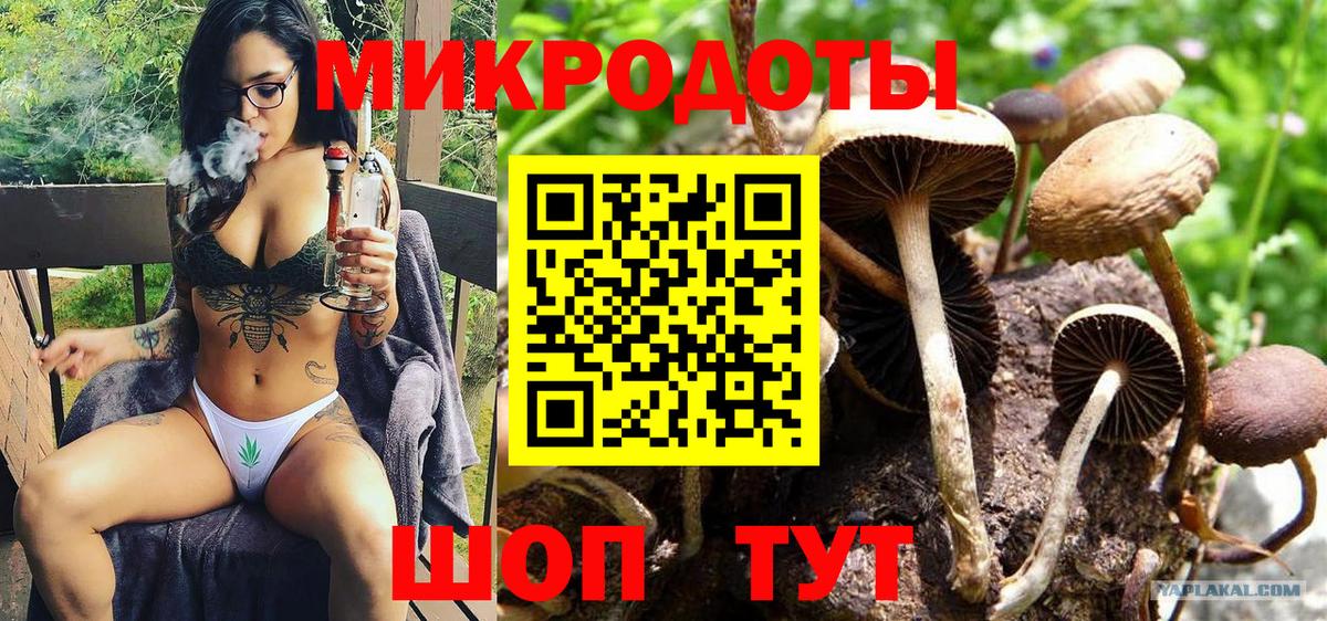 Минусинск  Псилоцибиновые грибы ЛСД  Вход с VPN  Галлюциногенные грибы Psilocybine cubensis 