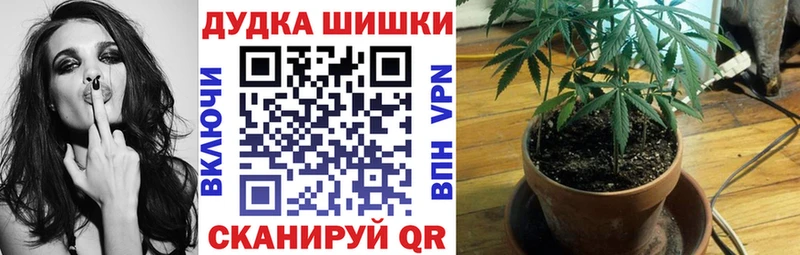 Шишки марихуана план  MEGA как войти  Минусинск  купить наркотики сайты 